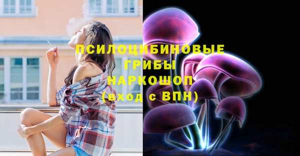 ГАЛЛЮЦИНОГЕННЫЕ ГРИБЫ Покров