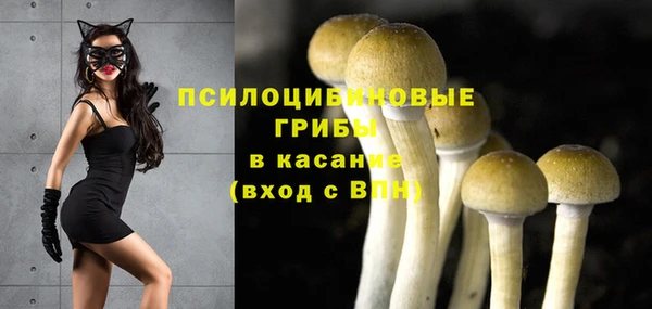 ГАЛЛЮЦИНОГЕННЫЕ ГРИБЫ Покров