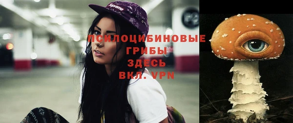дживик Кулебаки