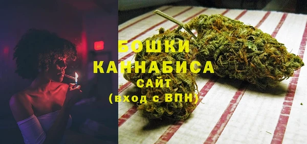 ГАЛЛЮЦИНОГЕННЫЕ ГРИБЫ Покров