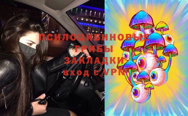 мяу мяу мука Покачи