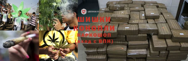 ГАЛЛЮЦИНОГЕННЫЕ ГРИБЫ Покров